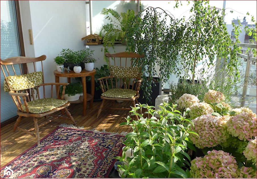 Kwiaty na balkon całoroczne: Styl i barwy przez cały rok - inspiracje i porady