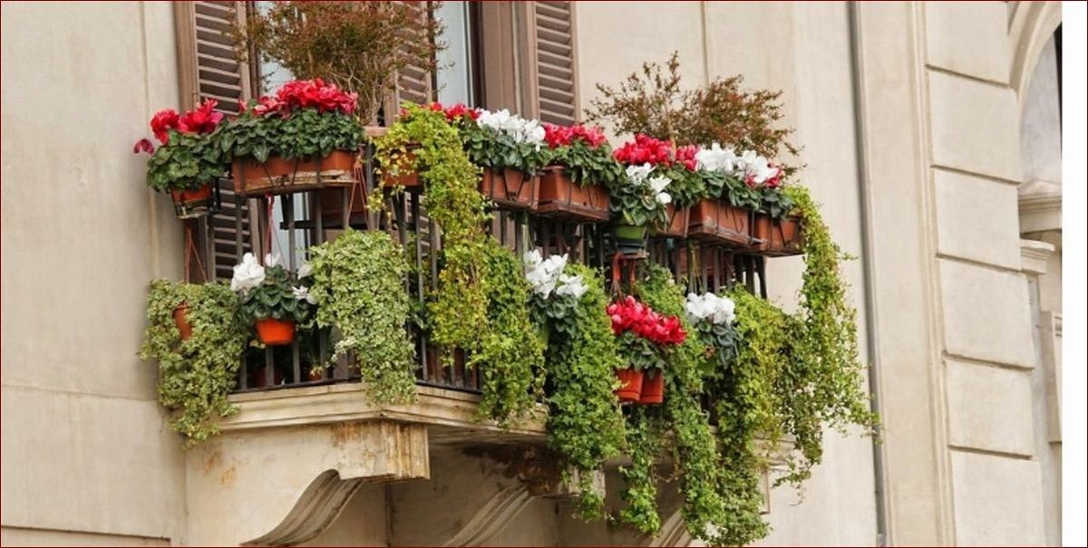 Kwiaty na balkon całoroczne: Styl i barwy przez cały rok - inspiracje i porady