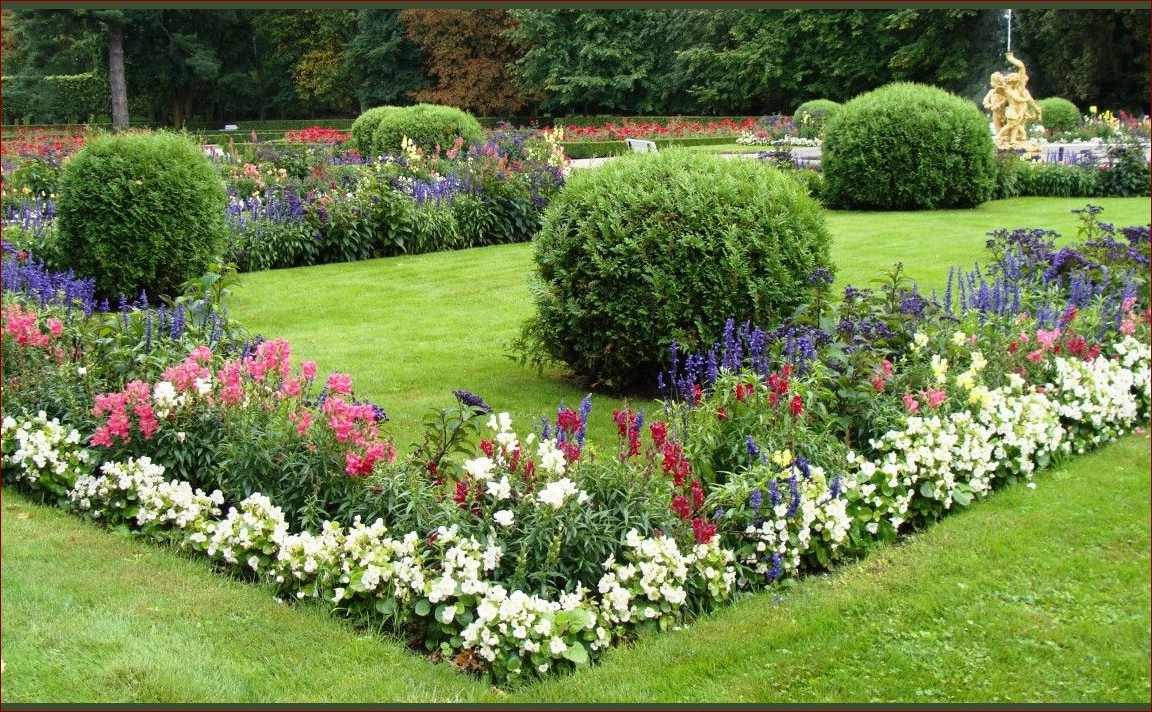 Kwiaty na obwódki - niezwykłe piękno i symbolika na każdą okazję
