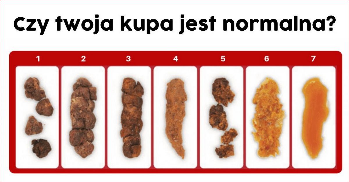 Wymioty i biegunka u psa – przyczyny, objawy i co robić, gdy pies je ma